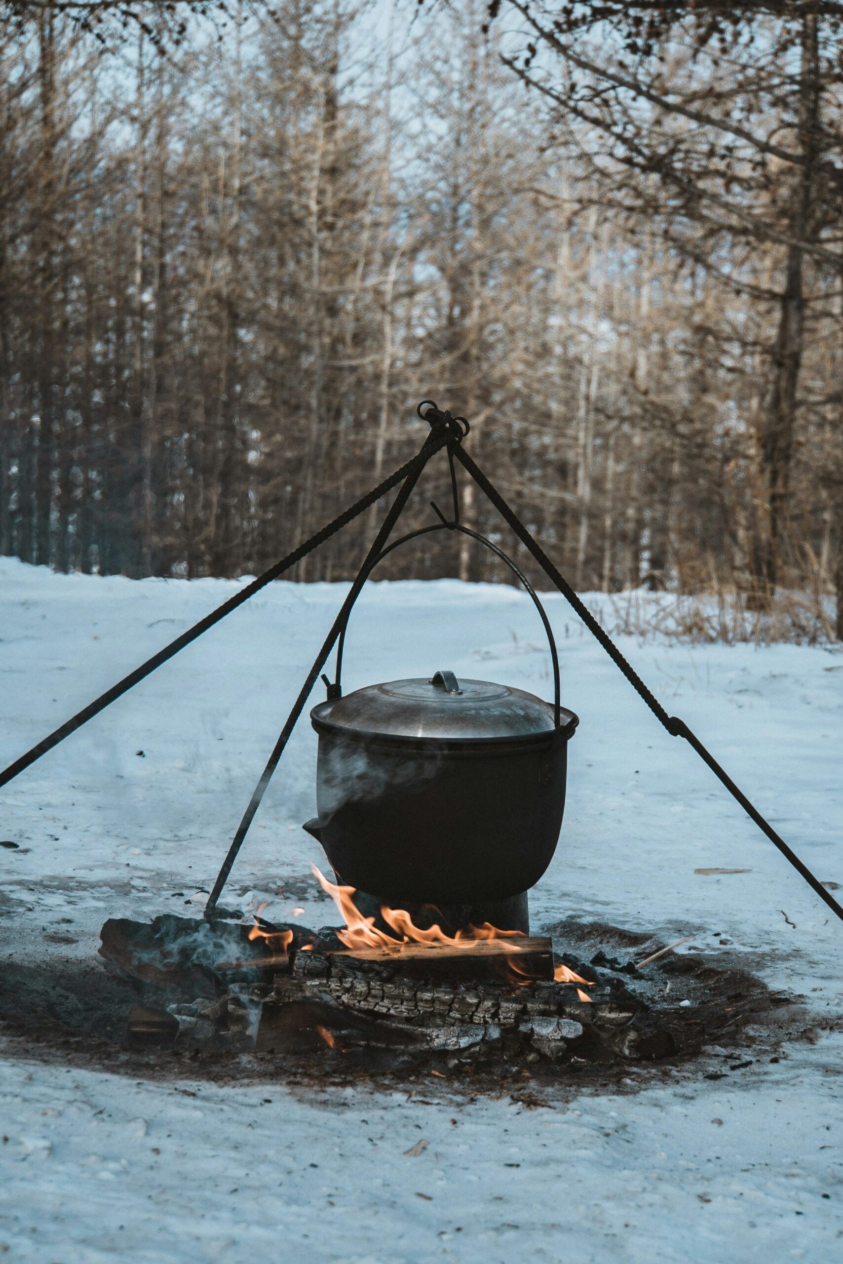 Best Foods to Bring Winter Camping 4